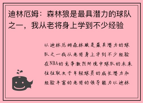 迪林厄姆：森林狼是最具潜力的球队之一，我从老将身上学到不少经验